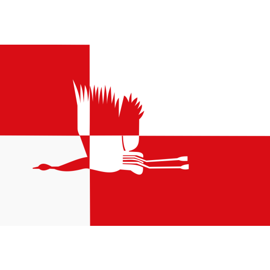 Vlag Cranendonck 70x100cm