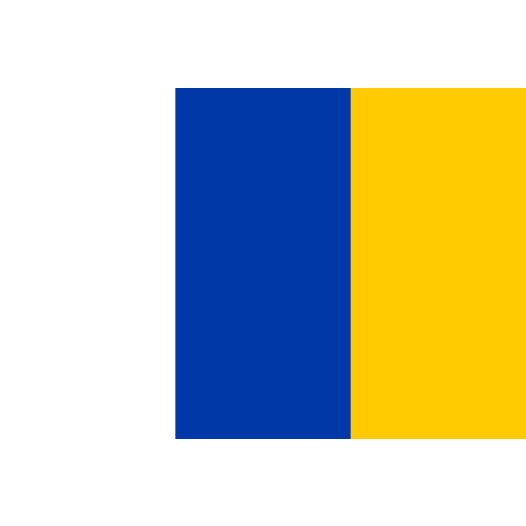 Vlag Doetinchem 30x45cm