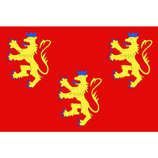 Vlag Dordogne 150x225cm