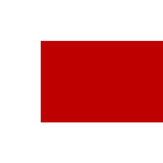 mast vlag Dubai 150x225cm