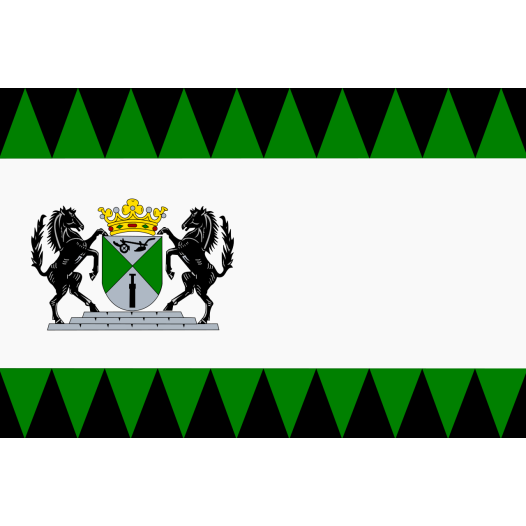 Vlag emmen 70x100