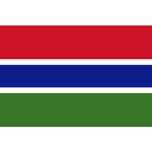Zwaaivlag Gambia 15x22,5cm | stof