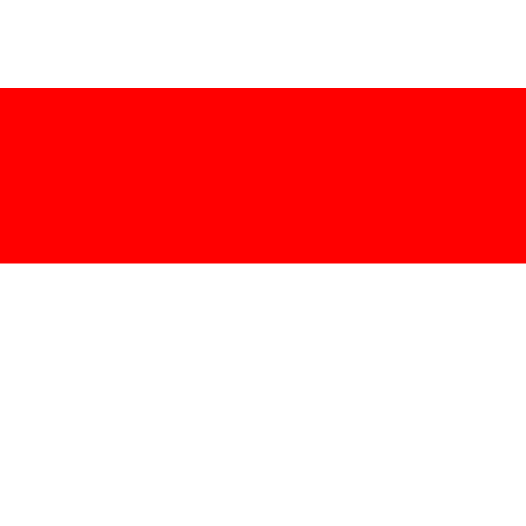 Vlag Indonesië 70x100cm