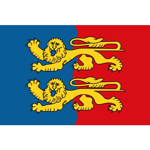Grote vlag Manche 200x300cm