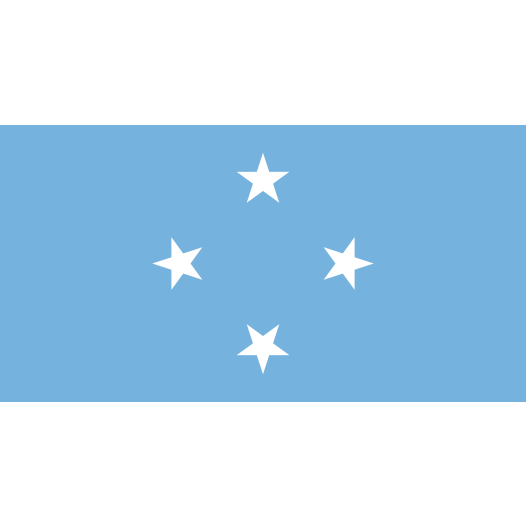 Bootvlag Micronesia 30x45cm