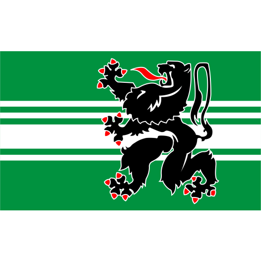 Grote vlag Oost-Vlaanderen 200x300cm
