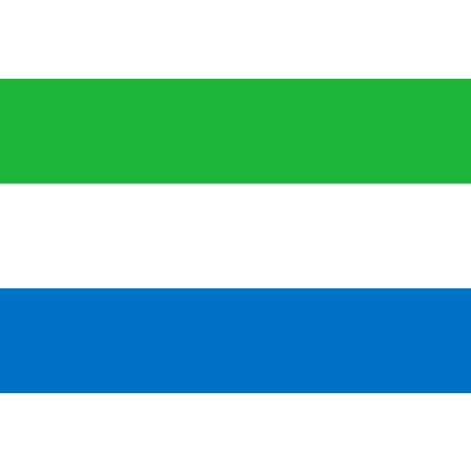 Vlag Sierra Leone 70x100cm
