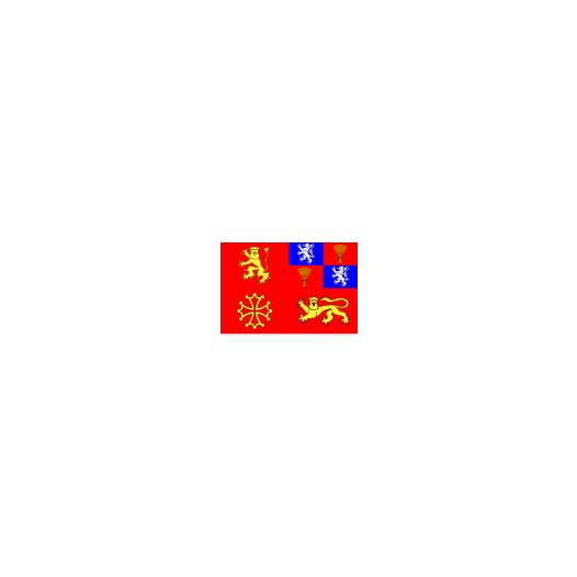 Vlag Tarn-et-Garonne 150x225cm