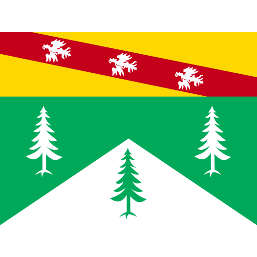 Vlag Yvelines 100x150cm