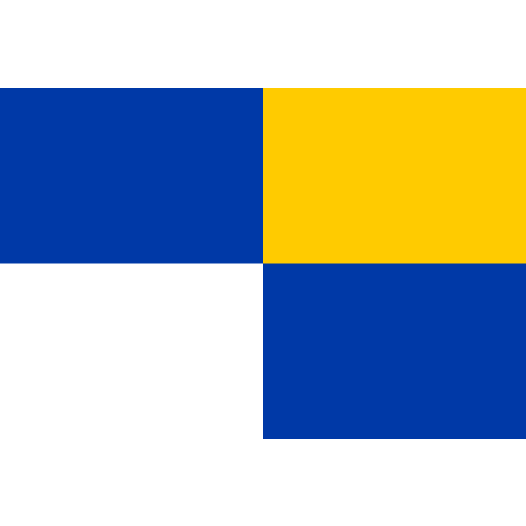 Vlag Winterswijk 30x45