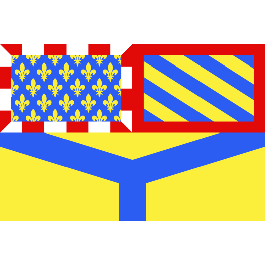 Grote vlag Yonne 200x300cm
