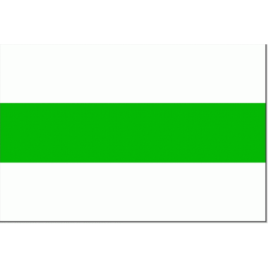 Vlag Groningen Stad 70x100cm