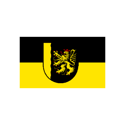 Vlag van Palts 150x225cm