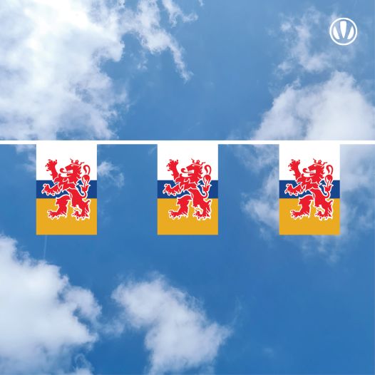 Vlaggenlijn Limburg - 10 meter Plastic