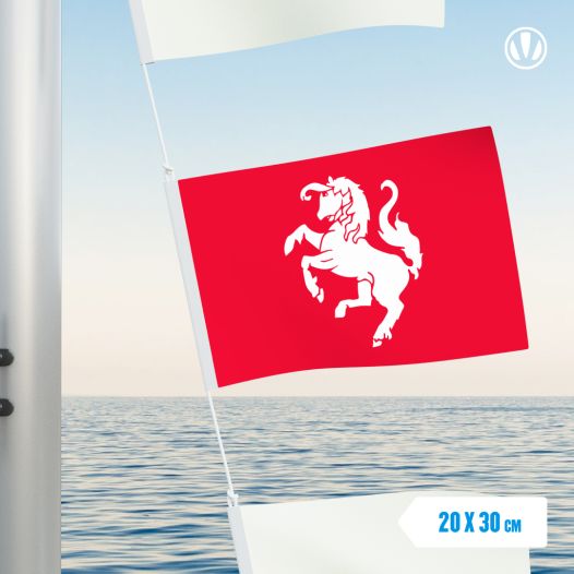 Vlag Twentse Ros | Vlaggen twente 20x30cm