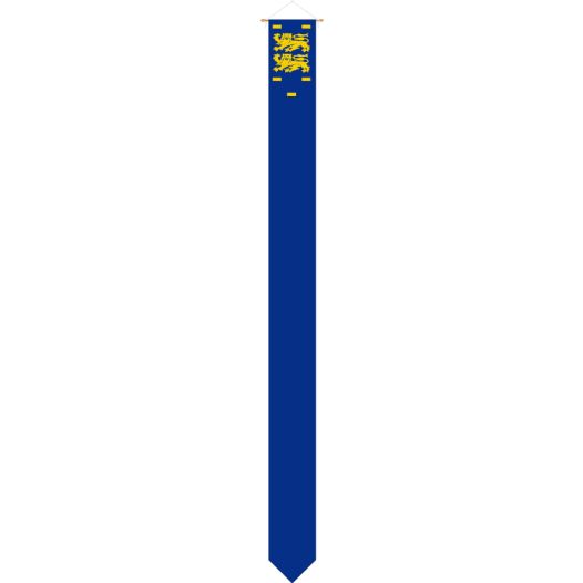 Wimpel West-Friesland Westfriese wimpels 25x300cm met stokje