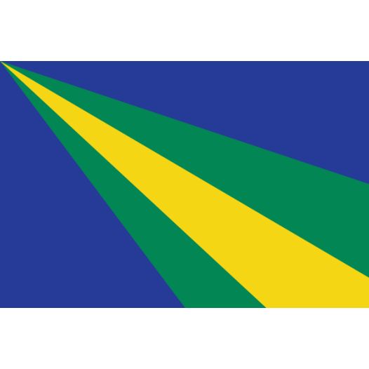 vlag Zeewolde 20x30cm 