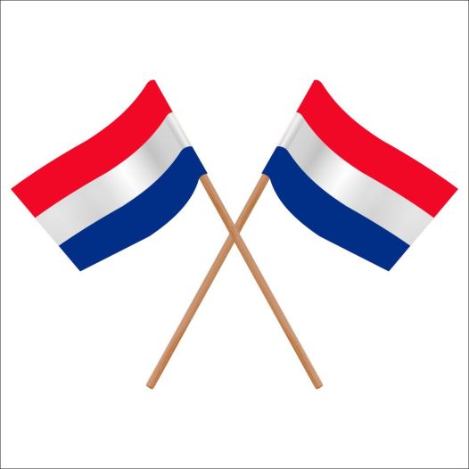 Zwaaivlaggetje Nederland 11x21cm | 100% Eco papier