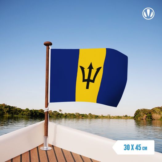 Vlag Barbados 30x45cm