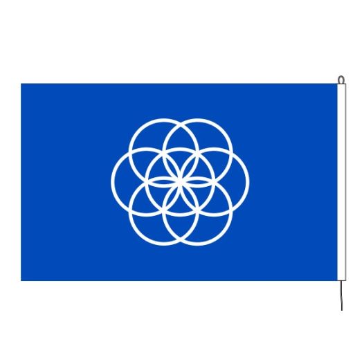 Earthflag 20x30cm courtesy flag