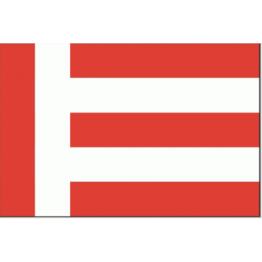 Vlag gemeente Eindhoven | Eindhovense vlaggen 30x45cm