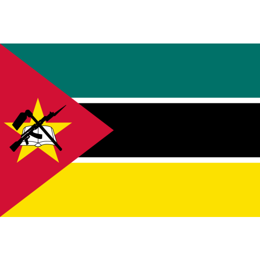 vlag Mozambique 30x45cm