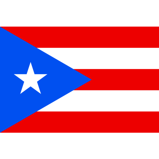Vlag Puerto Rico 30x45cm