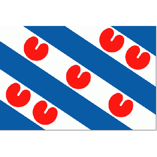 Friese vlaggetje | vlag provincie Friesland 10x15cm