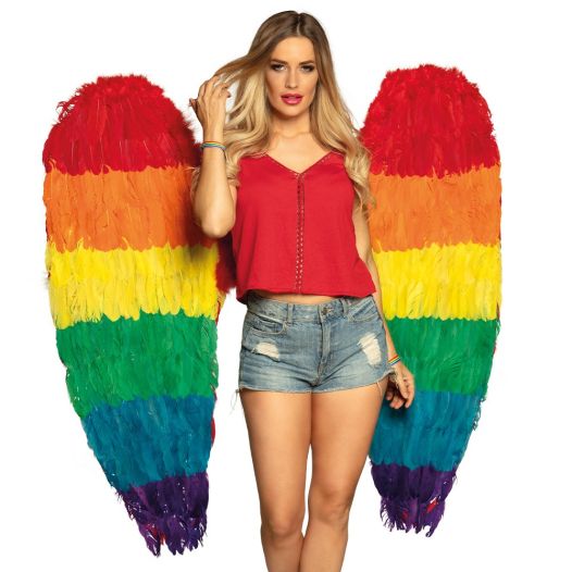 Grote Regenboog Vleugels 120x120 cm