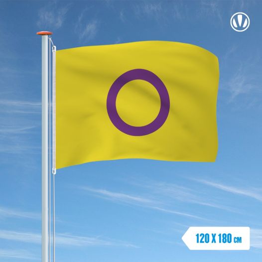 Vlag Intersekse 120x180cm