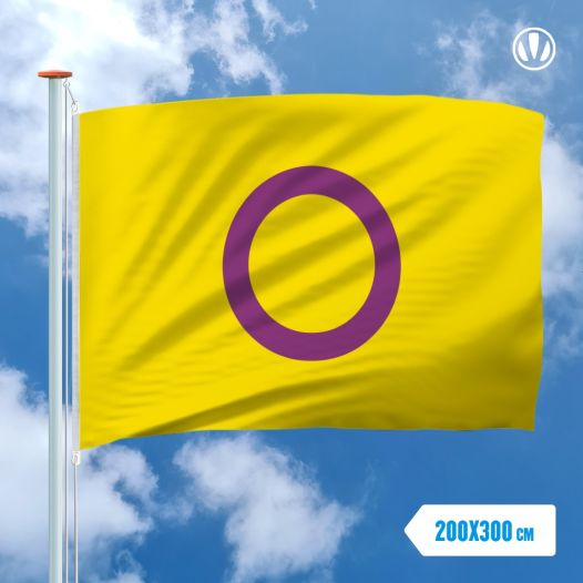 Grote Vlag Intersekse
