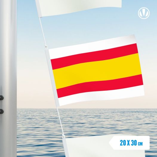 Vlag Lemmer 20x30cm