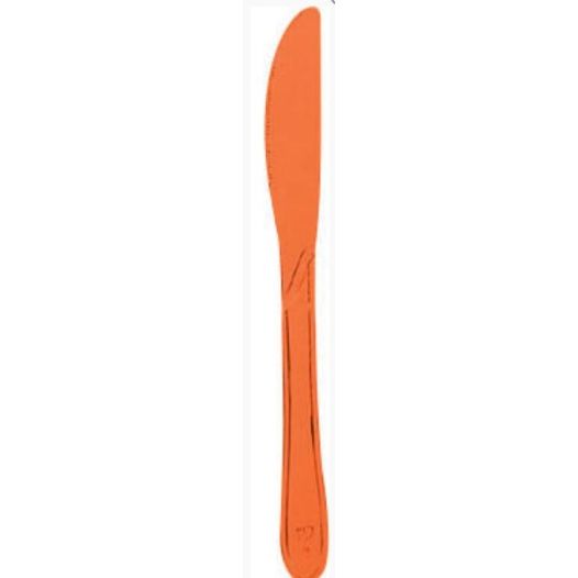Messen Oranje Bestek 10 stuks
