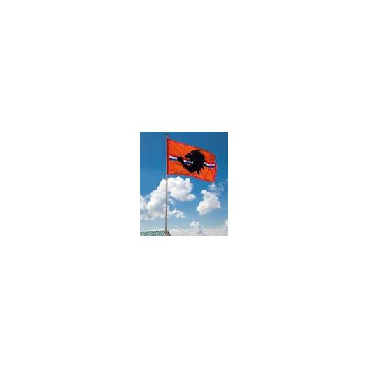 Oranje EK | WK vlag met leeuw 60x90cm