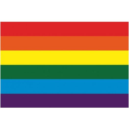 Tafelvlag regenboog 10x15cm 