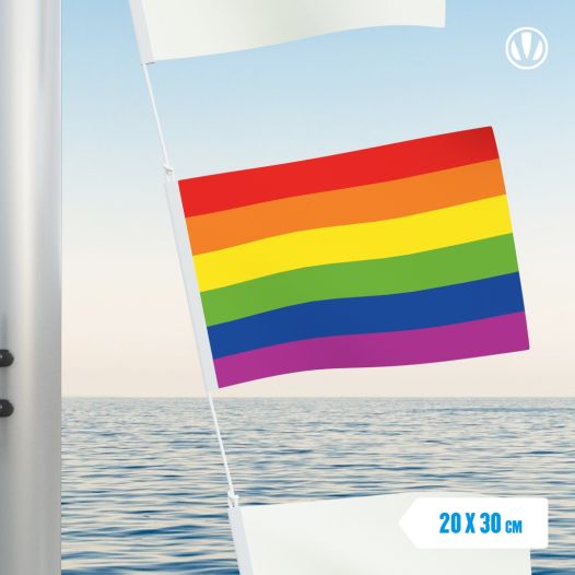 Vlaggetje Regenboog 20x30cm
