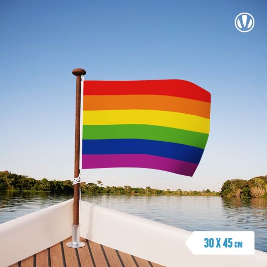 Regenboogvlag | Regenboog vlaggen 30x45cm