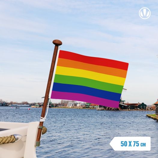 Regenboogvlag 50x75cm