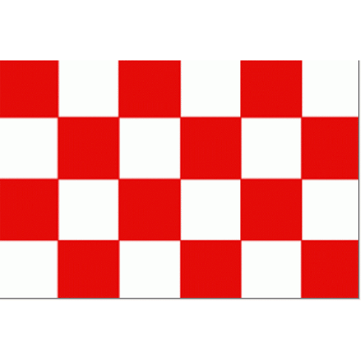 Start vlag 50x75cm