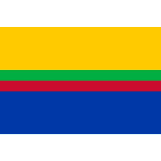 Vlag gemeente Appingedam 100x150cm Appingedammer vlag