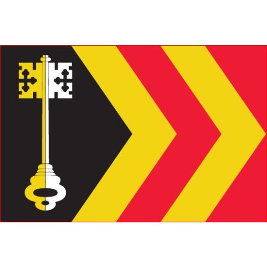 Vlag gemeente Bladel 30x45cm Bladelse gemeentevlag bootvlag