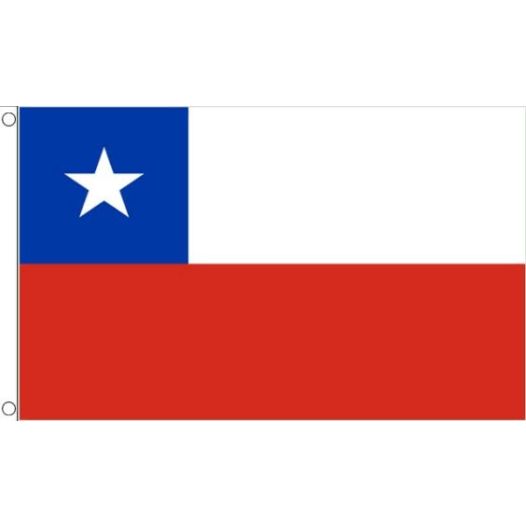 Vlag Chili 150x240cm | Best Value