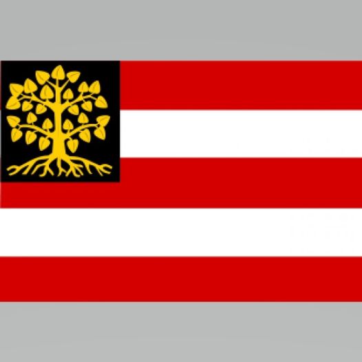 Vlag Den Bosch 30 x 45cm