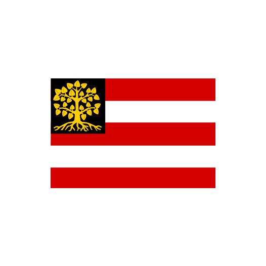 Vlag gemeente Den Bosch | vlaggen 's-Hertogenbosch 20x30cm
