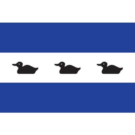 Vlag Diemen 30x45cm Diemer bootvlag