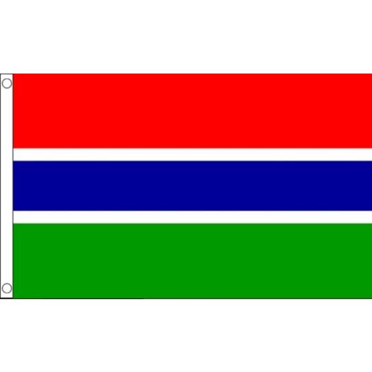 Vlag Gambia 60x90cm | Best Value