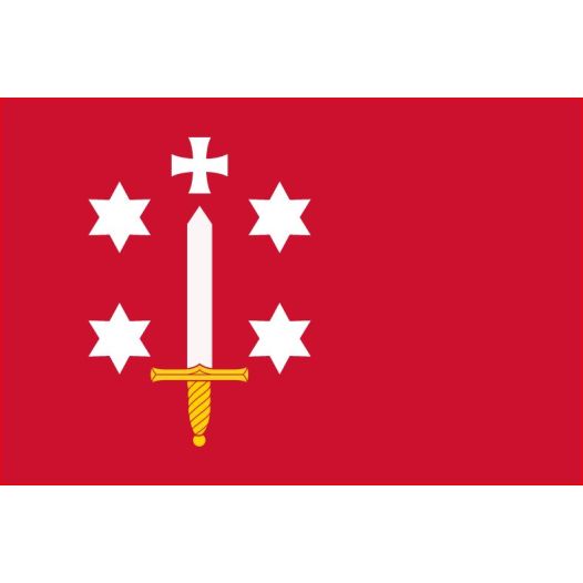 Vlag Haarlem 50x75cm