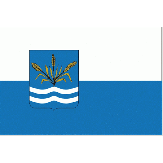 Vlag gemeente Haarlemmermeer | Haarlemmermeerse vlaggen 20x30cm