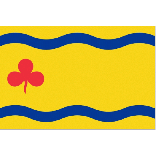Vlag gemeente Hardenberg | Hardenbergse vlaggen 20x30cm