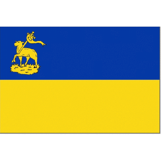 Vlag gemeente Velsen 20x30cm Velser vlaggen gemeente